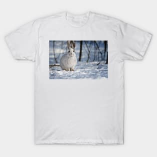 Snow Shoe Hare T-Shirt